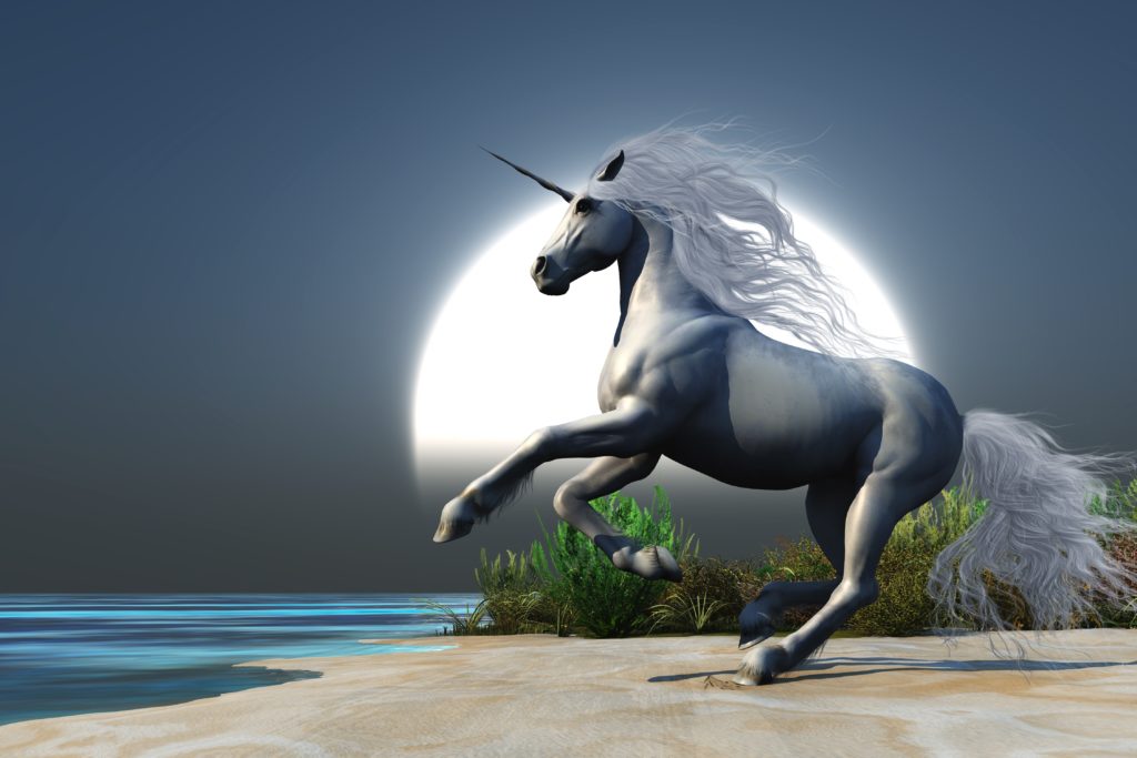 Licorne : à la découverte de cet animal fantastique