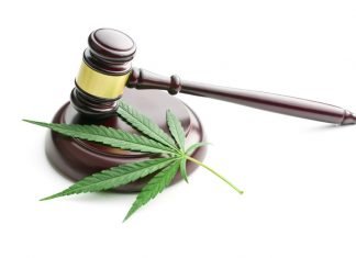 cannabis thérapeutique légal en France