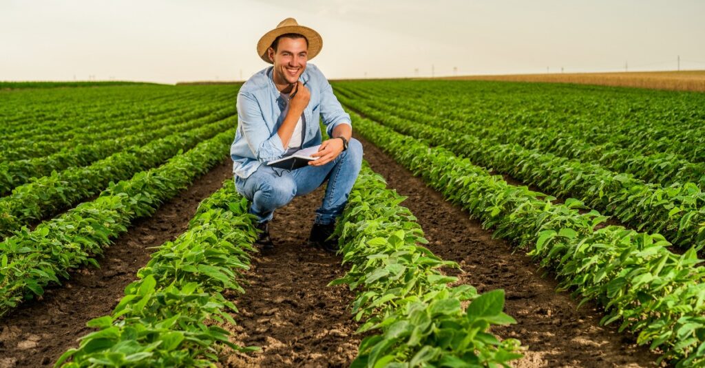 Agriculteurs : pourquoi s’équiper d’un logiciel de gestion parcellaire ?
