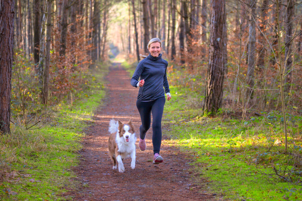 Quel chien adopter pour faire du sport ensemble ?
