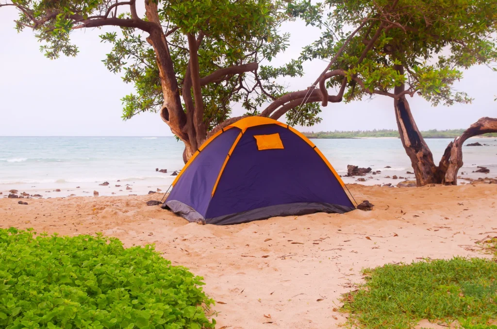 Bien choisir son camping dans les Landes : nos conseils