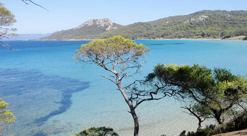 Plage de Notre-Dame, Île de Porquerolles