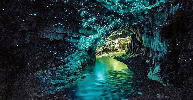 grottes de Waitomo, Nouvelle-Zélande