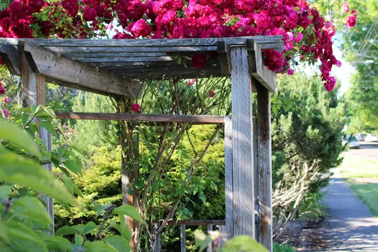 Construire sa propre Pergola
