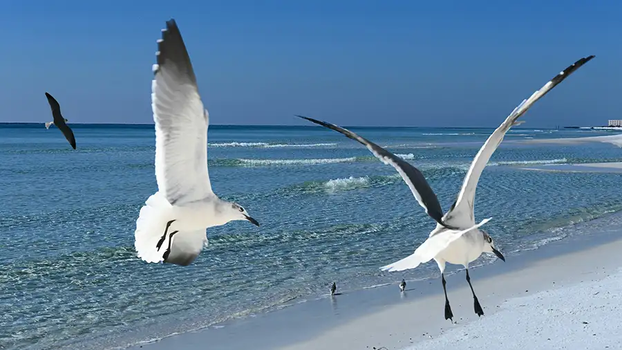 Destin Beach, Floride