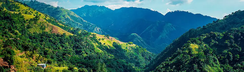 Les Montagnes bleues, Jamaïque