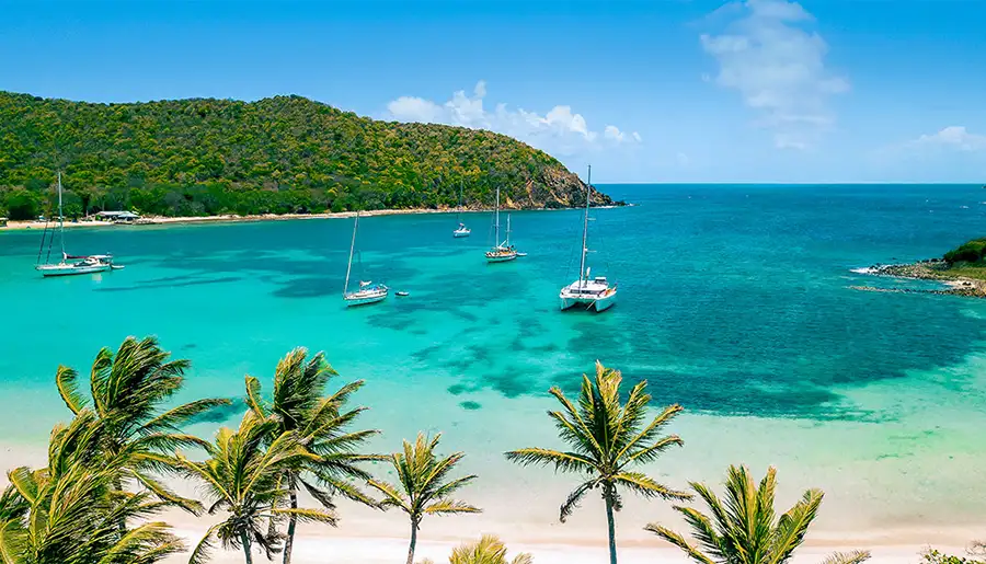 Saint-Vincent: nature sauvage des Caraïbes