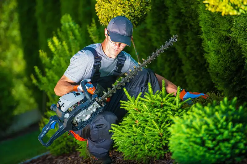 entretenir votre jardin en été