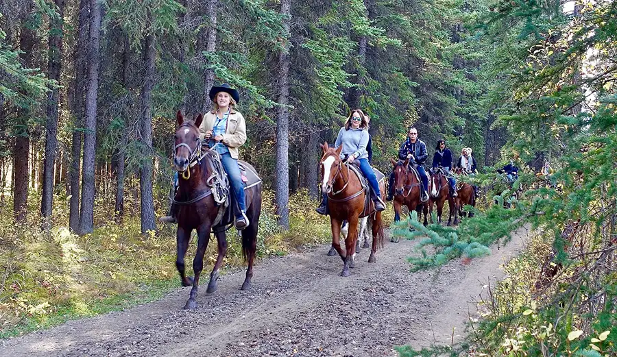 Activité équitation team building