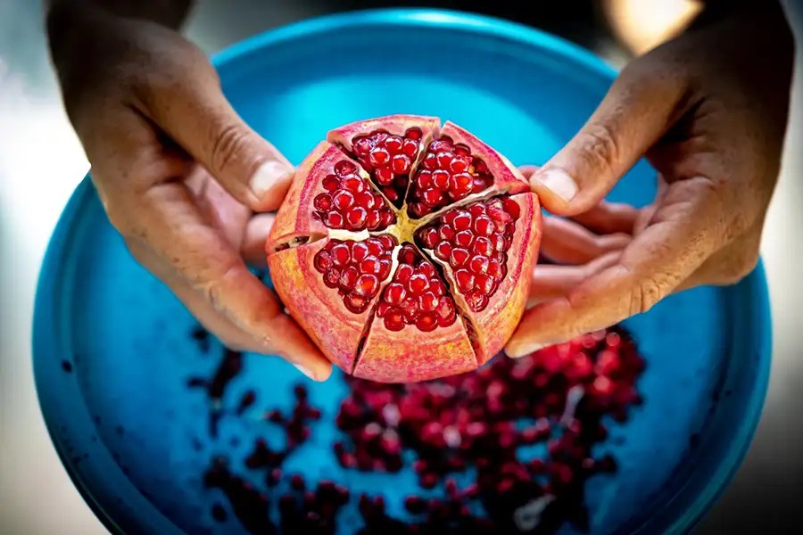 fruit de la longévité en gros plan