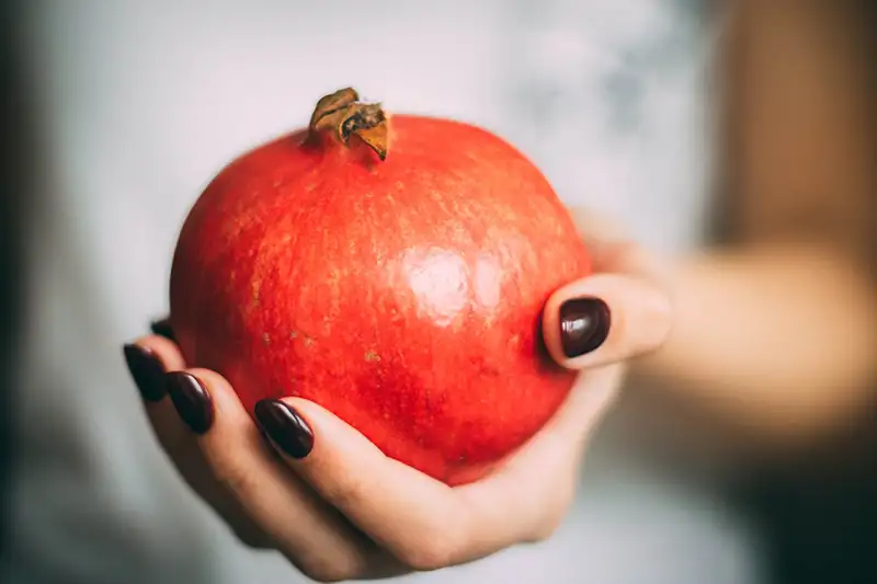 la grenade, fruit de la longévité