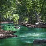 Rivière et pollution aux hydrocarbures