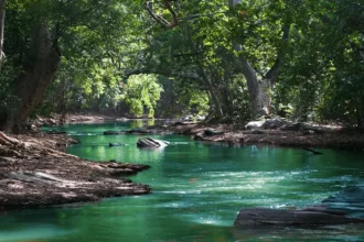 Rivière et pollution aux hydrocarbures