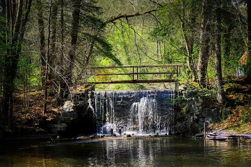 pont sur rivière en forêt