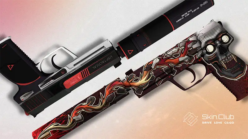 skin USP-S