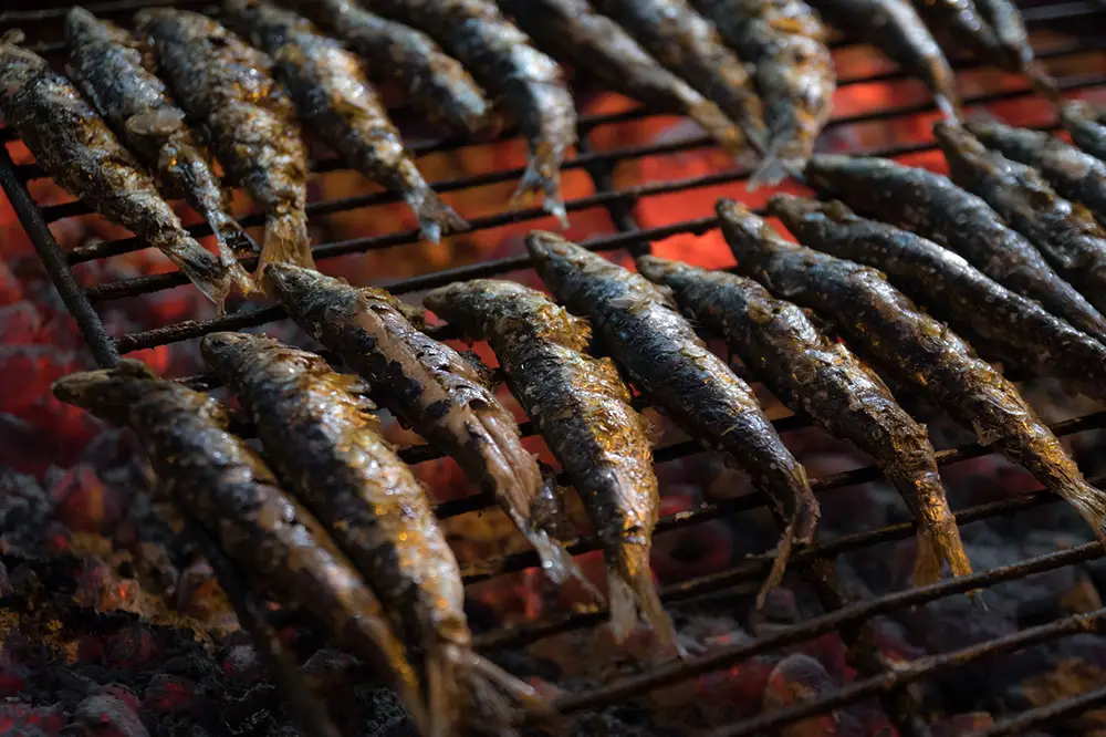 sardines grillées