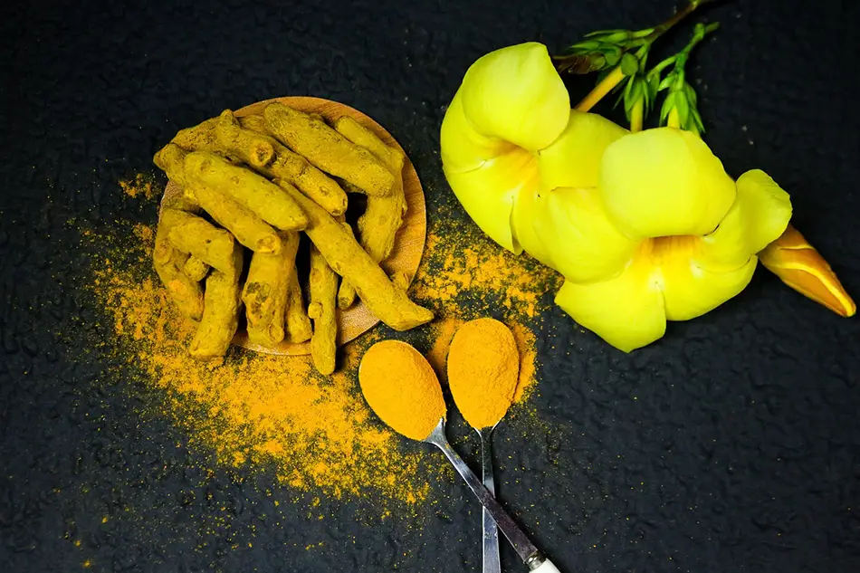 curcuma frais et en poudre