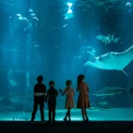 visite aquarium et sensibilisation à la préservation des océans