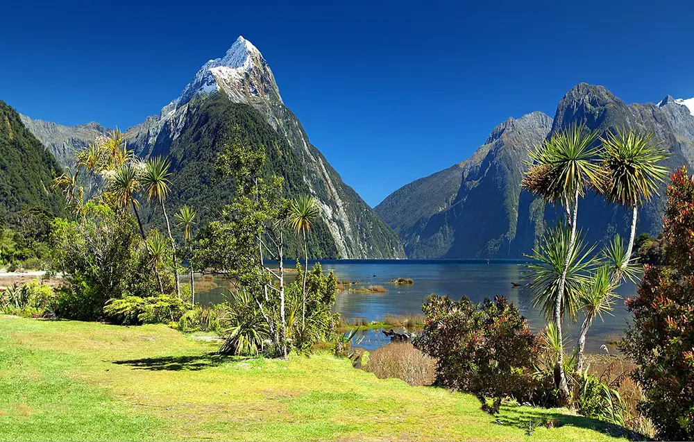 Milford Track, bivouac en Nouvelle Zélande dans le Fiordland