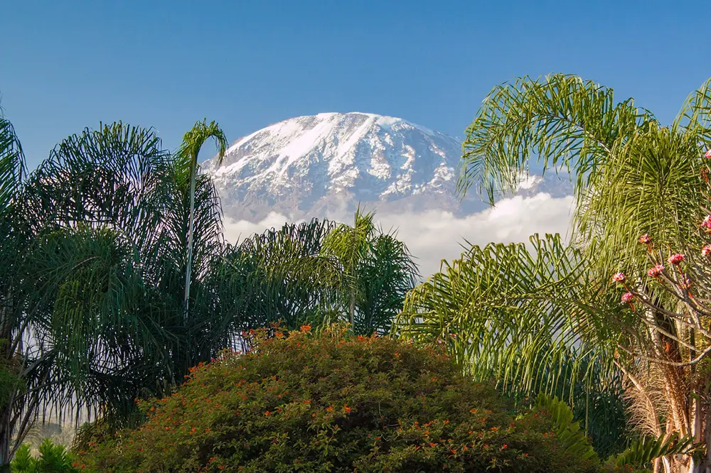 Vue sur le Mont Kilimandjaro enneigé, Tanzanie