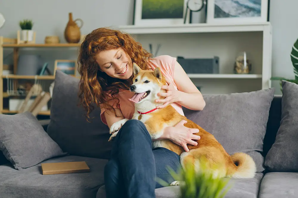 seconde chance pour un chien adopté avec amour