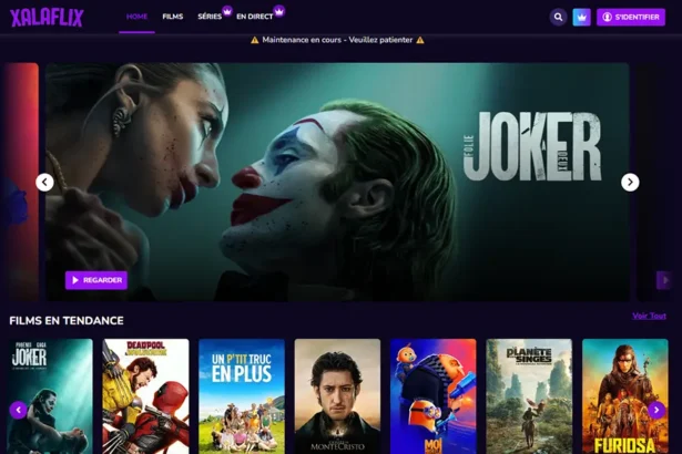 Capture d'écran de la page d'accueil de Xalaflix