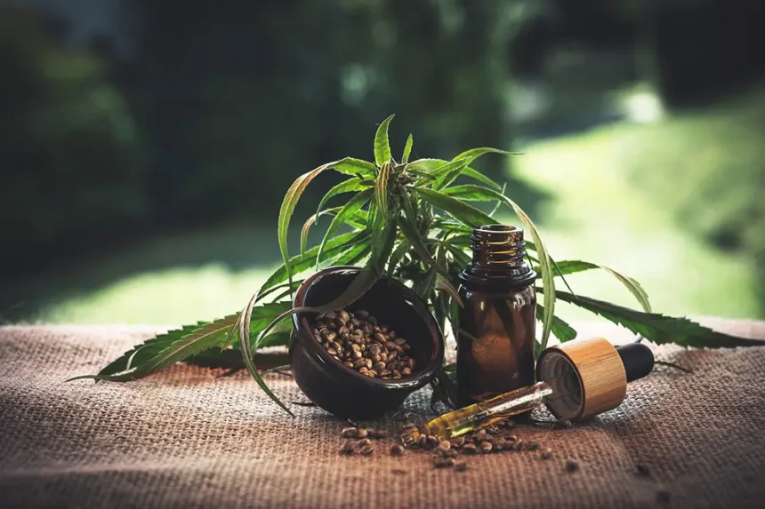 CBD présenté sous plusieurs formes : Fleurs, huiles, résines, graines