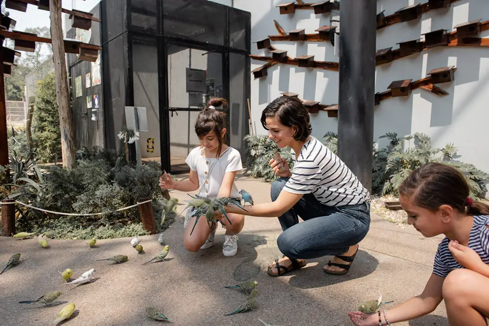 enfants et leur maman dans une volière avec les oiseaux qui se posent sur eux