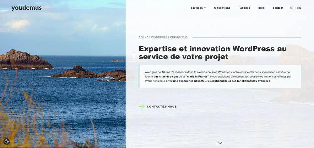 Youdemus, agence web