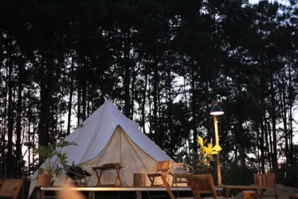 glamping écologique, tente moderne sur terrasse en bois dans une forêt pour un séjour dans la nature