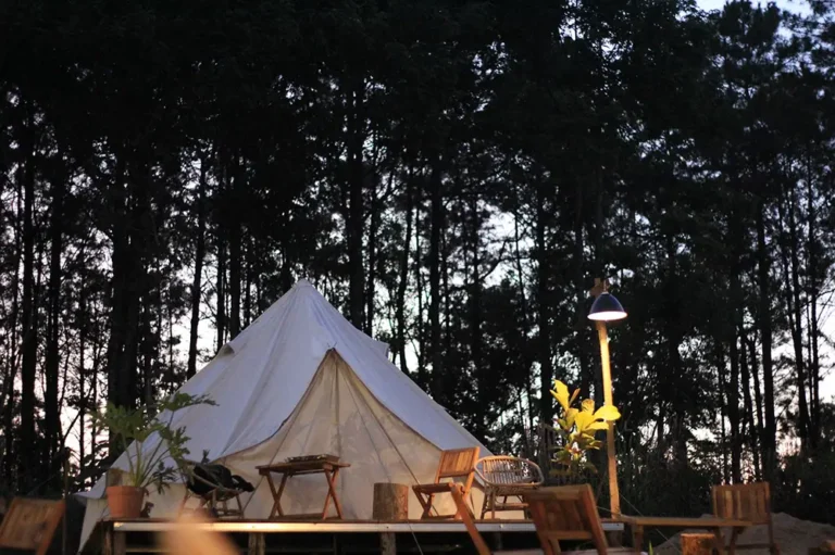 glamping écologique, tente moderne sur terrasse en bois dans une forêt pour un séjour dans la nature