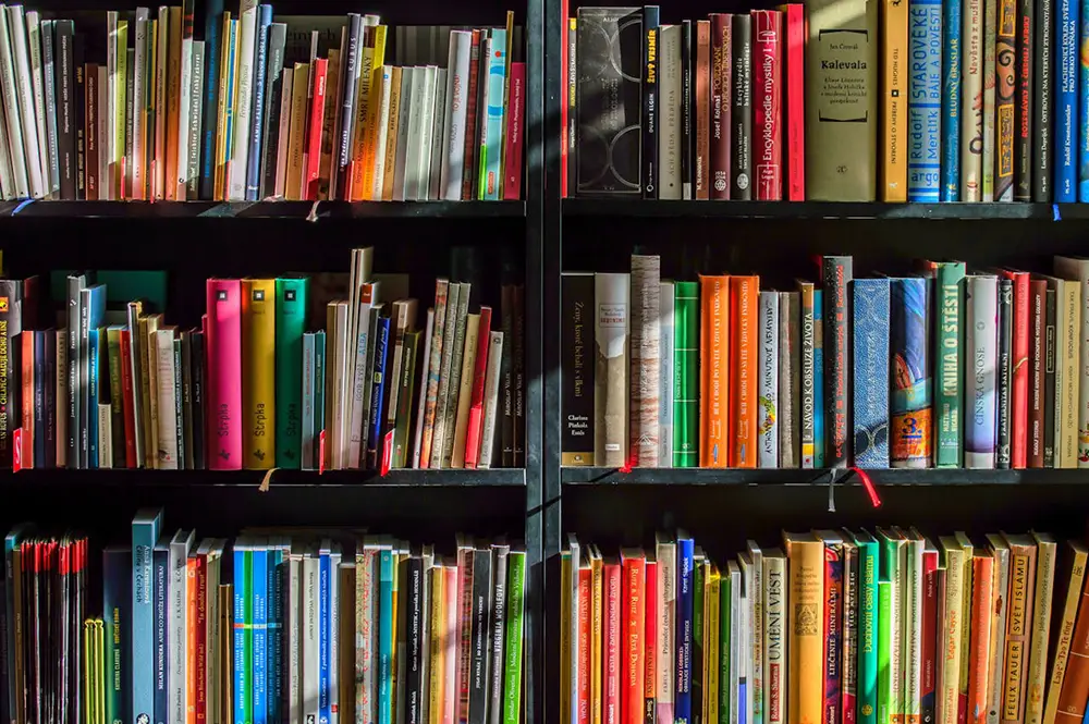livres dans une bibliothèque