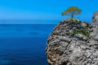 Majorque vue sur la mer