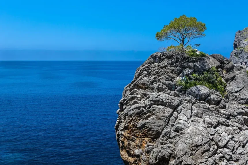 Majorque vue sur la mer