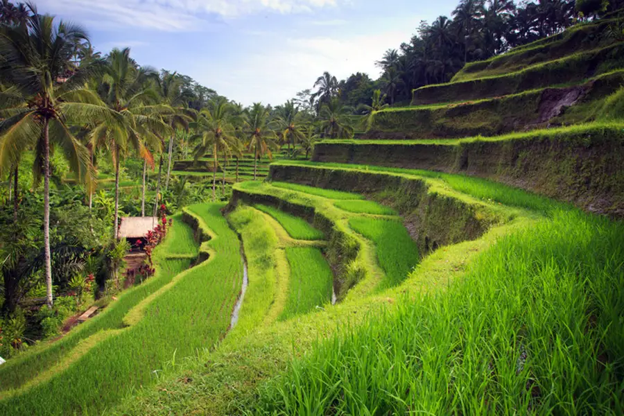 Tenganan, village Bali Aga