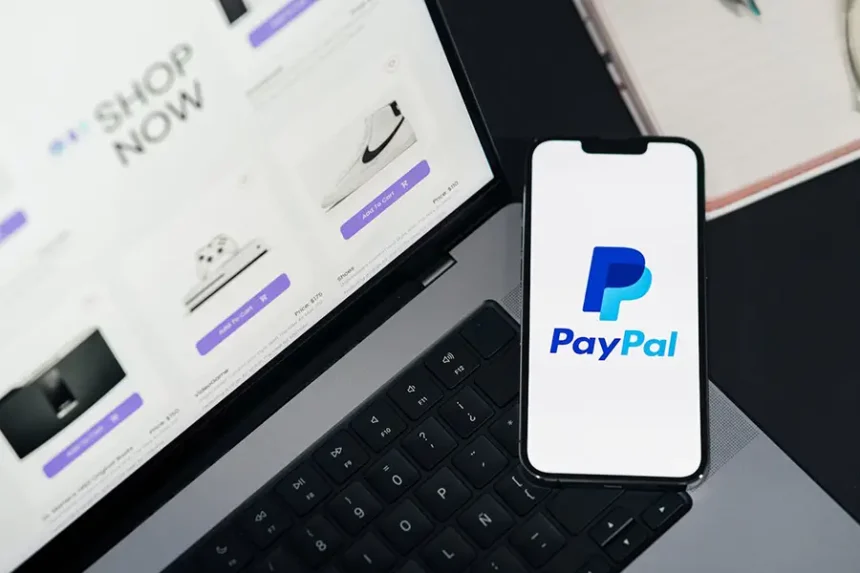 monde du paiement en ligne