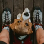 Une femme qui regarde son chien