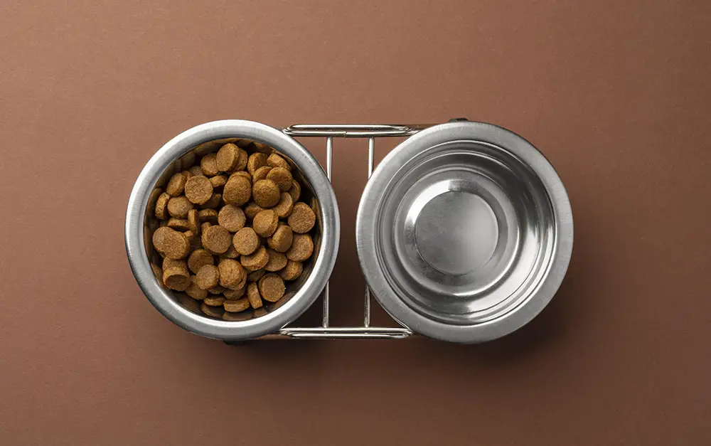 Une gamelle avec des croquettes différents