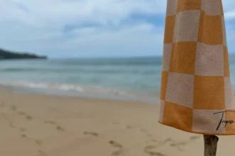 serviettes tropesa
