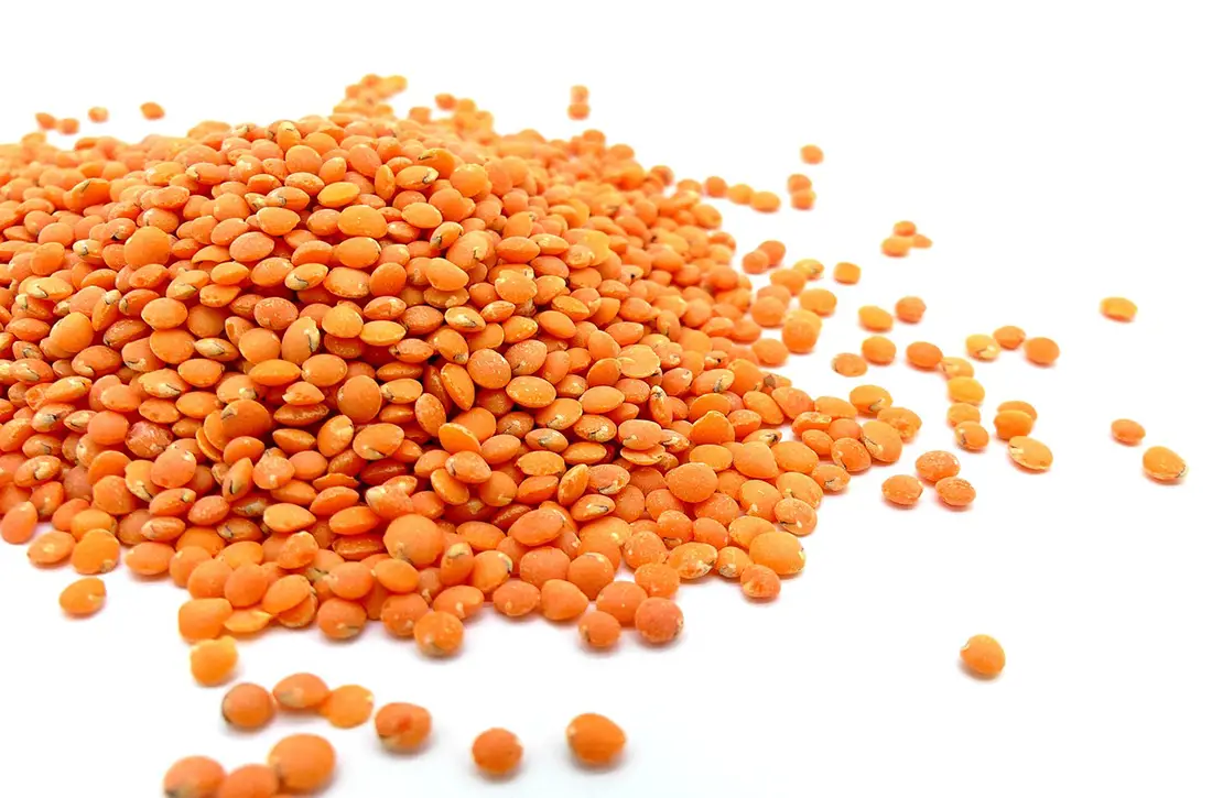 Lentilles rouges corail