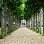 espace de vie véranda vue depuis le jardin