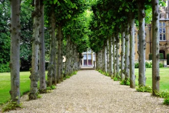 espace de vie véranda vue depuis le jardin