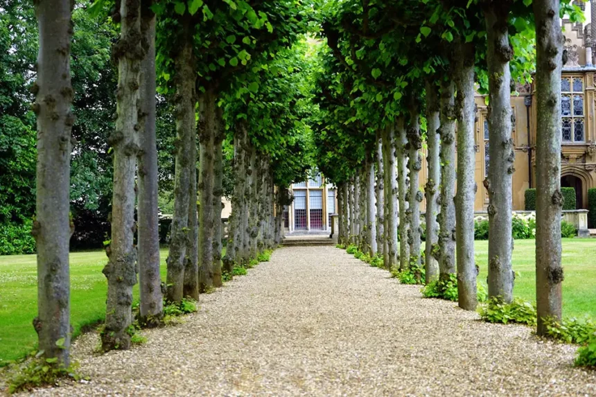 espace de vie véranda vue depuis le jardin
