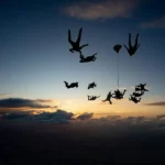 Frisson et sensations fortes