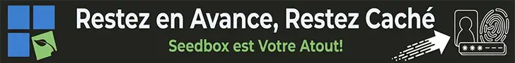 RapidSeedbox Promo