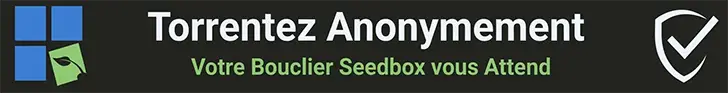 RapidSeedbox Promo