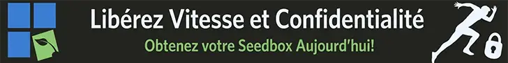 RapidSeedbox Promo
