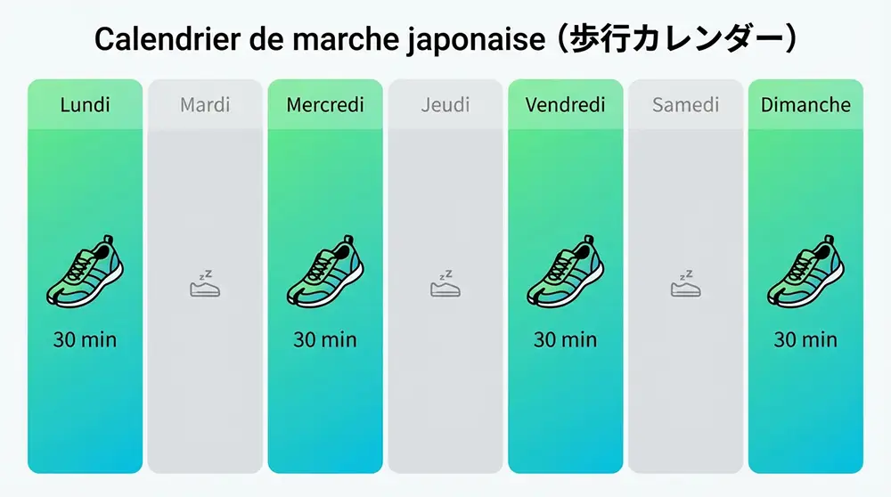 Calendrier hebdomadaire visuel montrant la fréquence recommandée de marche japonaise avec 4 jours surlignés (lundi, mercredi, vendredi, dimanche), icônes de chaussures de sport, durée de 30 minutes indiquée, design moderne motivant en vert et bleu