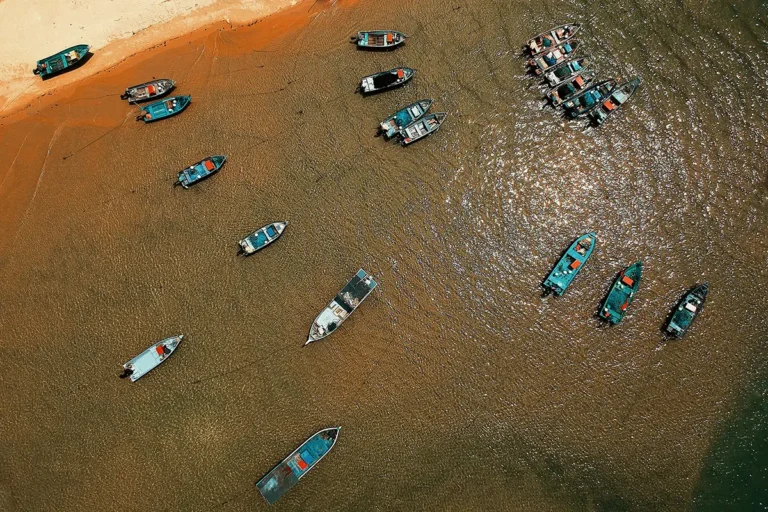 Explorer la Côte d’Opale : les incontournables pour un séjour réussi sur le littoral nord