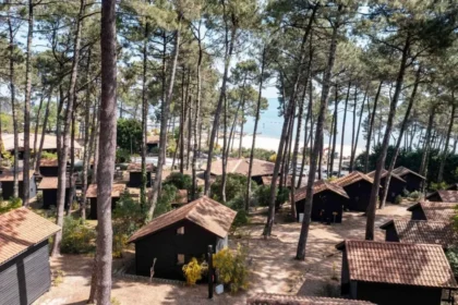 Vue du camping Biscarrosse Slow Village avec cabanes en bois sous les pins au bord du la